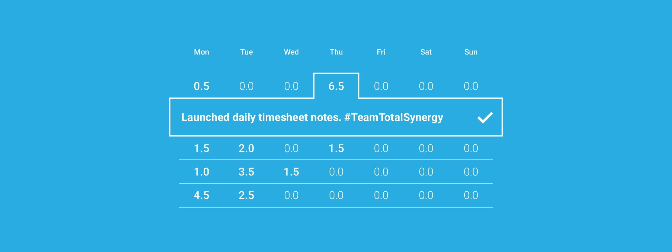 timesheets with daily notes - Synergy