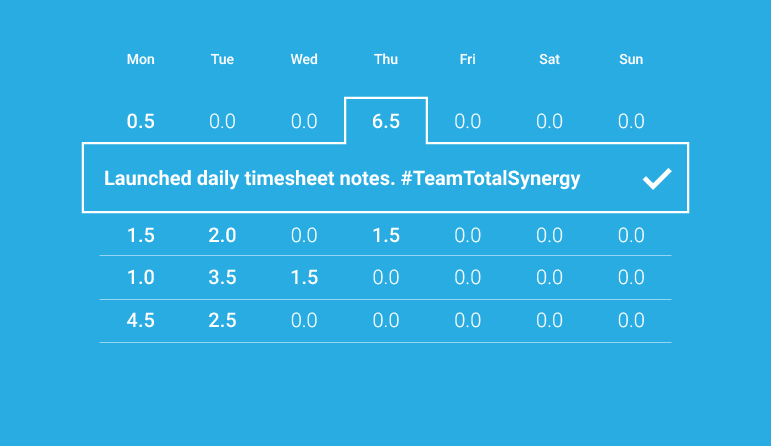 timesheets with daily notes - Synergy