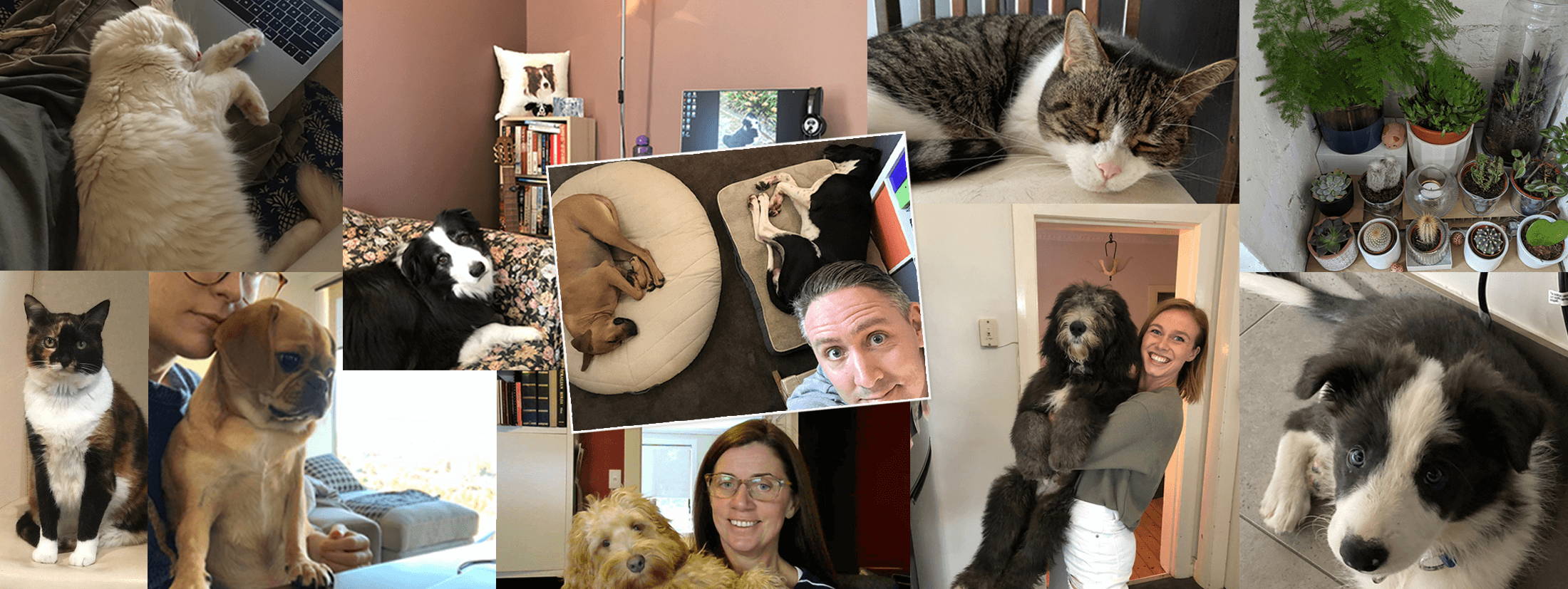 Meet our #TeamTotalSynergy WFH colleagues